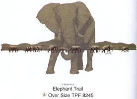 Elephant Trail