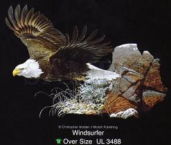 WindSurfer