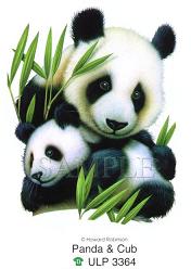 Panda & Cub