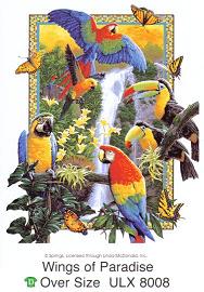 Wings of Paradise