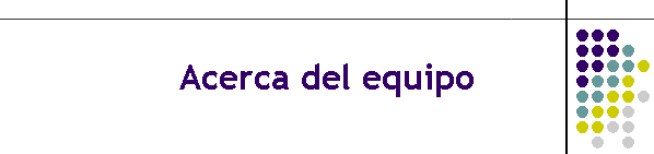 Acerca del equipo