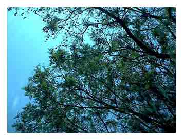 Cielo en Malinalco...