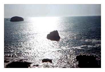 Playa de Mazatl�n...