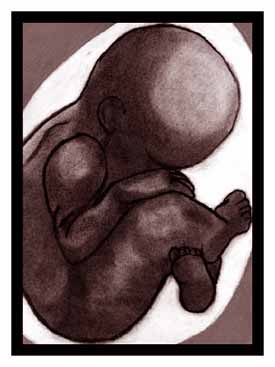 My Drawings...