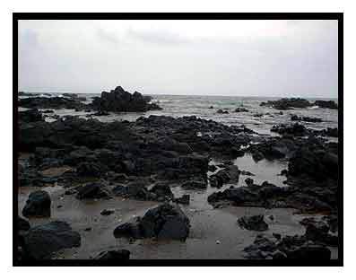 Montep�o...