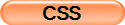 CSS