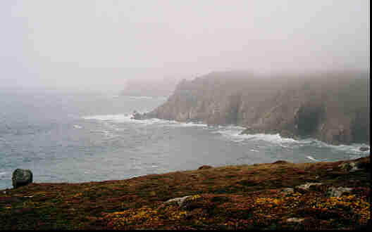 foggy cliffs along the coast