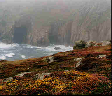 foggy cliffs along the coast