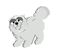 *purrrrrr* kitty *purrrrr*