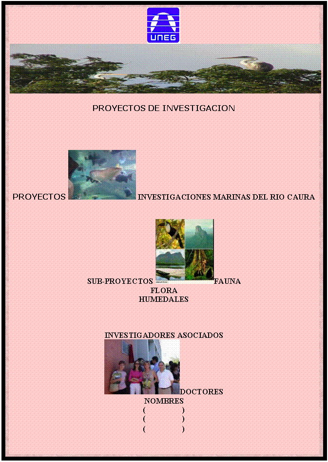 Cuadro de texto:   
PROYECTOS DE INVESTIGACION




PROYECTOS   INVESTIGACIONES MARINAS DEL RIO CAURA


SUB-PROYECTOS  FAUNA
FLORA
HUMEDALES



INVESTIGADORES ASOCIADOS
 DOCTORES
NOMBRES
(                   )
(                   )
(                   )
