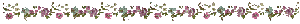 divider