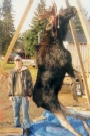 Greg Biron with his Bull Moose taken on Opening Day