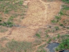 THE CLEARCUT FOR A FUTURE RANGE....