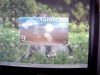 Software to Lay out the dimensions of the sign.