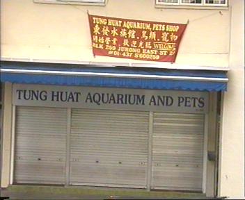Next to Blk 252 (near 7 Eleven store), to the far right of FuWu Aquarium! Sell other pets like birds!
