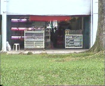 A very ULU place next to a bicycle shop. Next to SummerDale Condo. & a Fire Brigade!