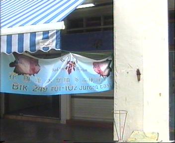 Near Blk 252 (opposite 7 Eleven store), to the far right of FuWu Aquarium! Average LHs at Red Spot from S$100 ++ to S$300++ (Top-tiers ones cost S$10K tp S$30K)