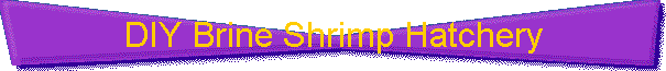 DIY Brine Shrimp Hatchery
