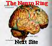 The Neuro Ring's Next Website
