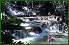 Dunn's River Falls