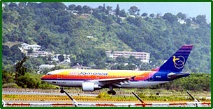 The Love Bird - Air Jamaica 