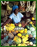 Fresh tropical fruit for sale