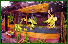 Fruit stand