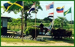 Crashed smuggler's plane near the north coast of Jamaica