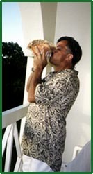 Conch shell horn