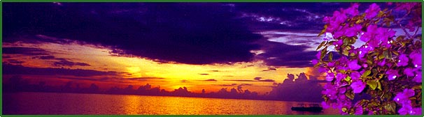 Jamaican Sunset
