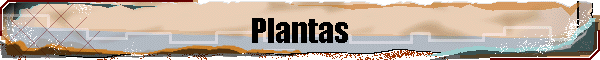 Plantas