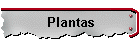 Plantas