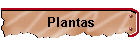 Plantas