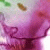 crackle pop by vered