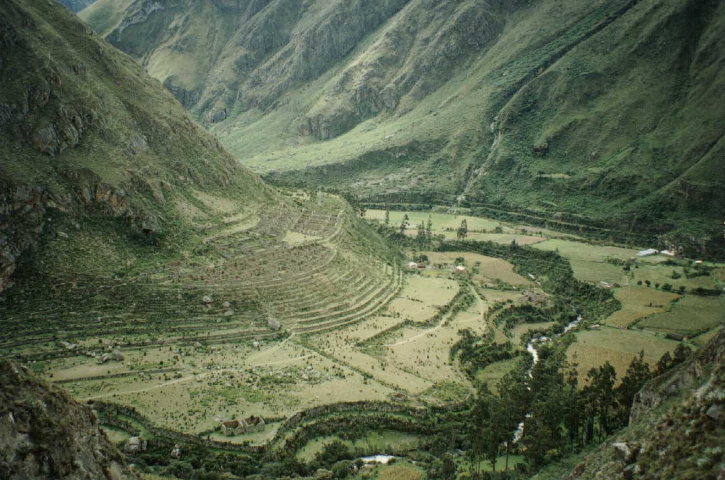 10Patallacta88.jpg (142680 bytes)
