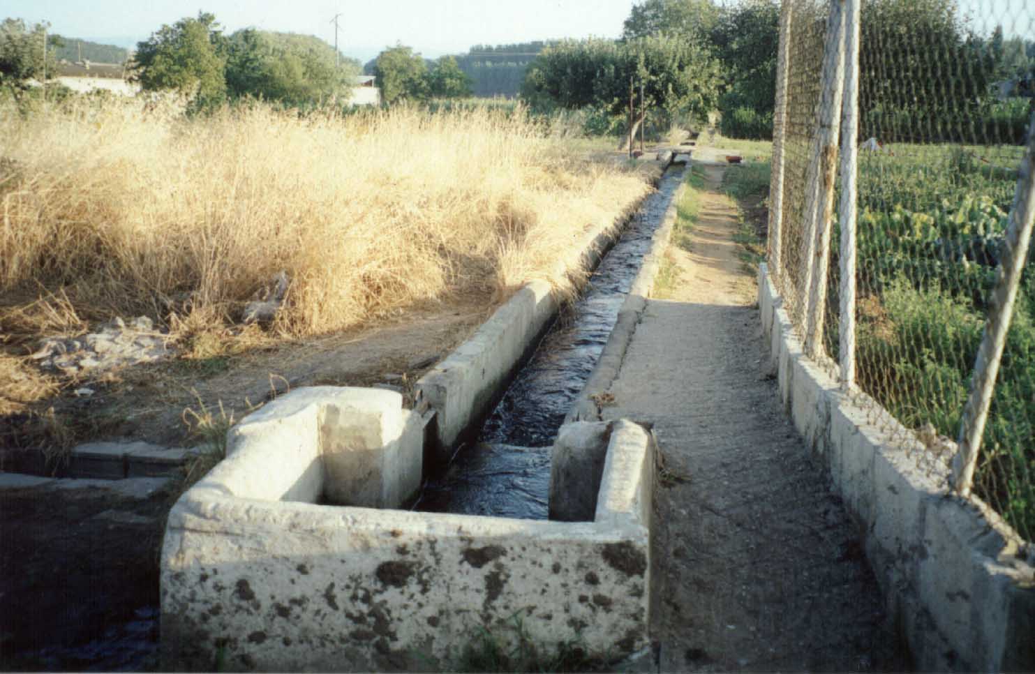 OutrasCabS181-PFerrada-apos.jpg (133470 bytes)