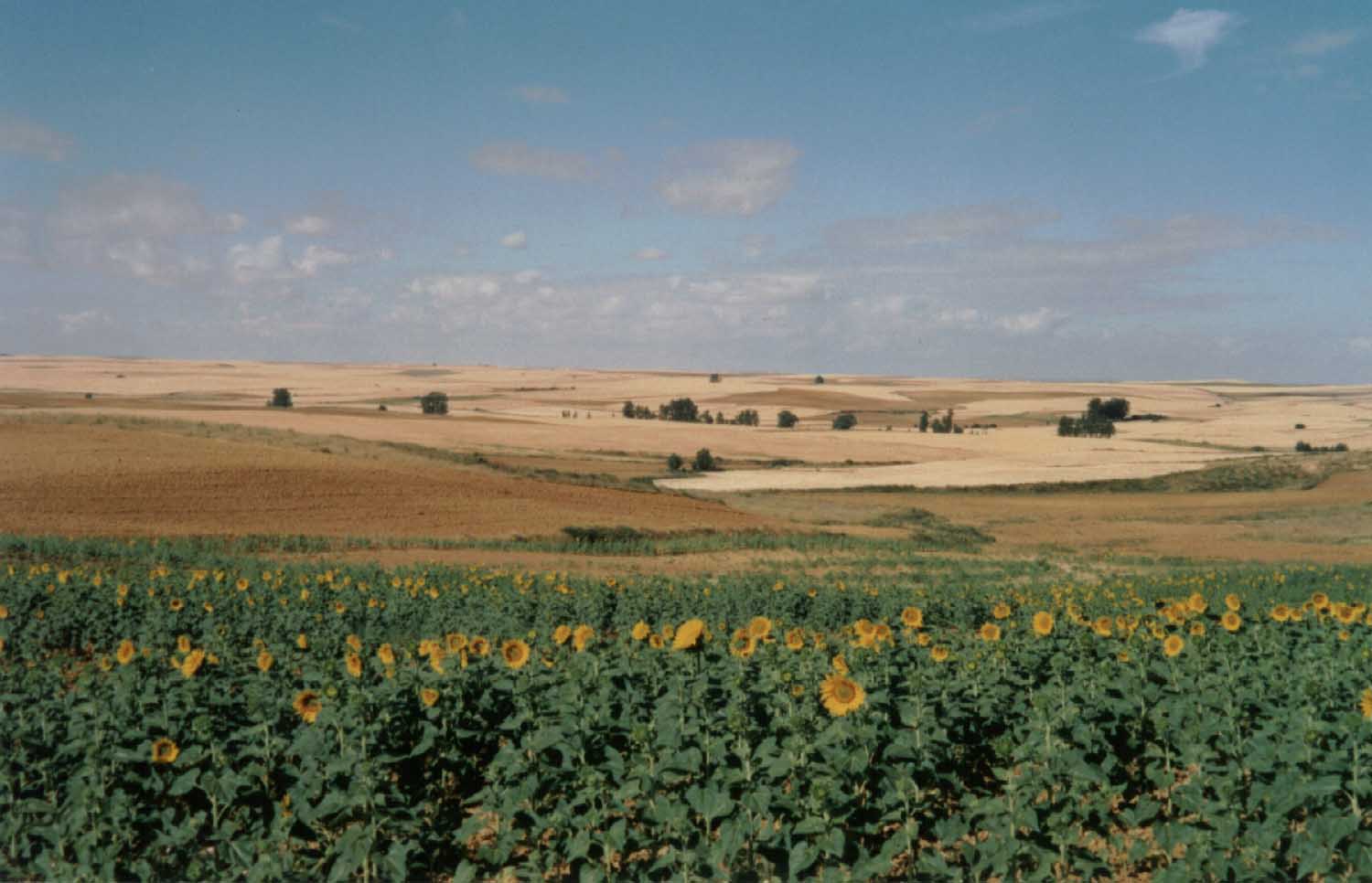 S090-Sahagun-antes.jpg (102949 bytes)