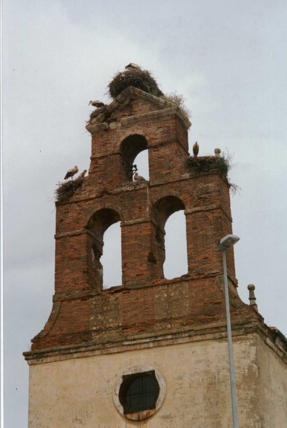 S130-Cegonhas-Leon.jpg (81854 bytes)