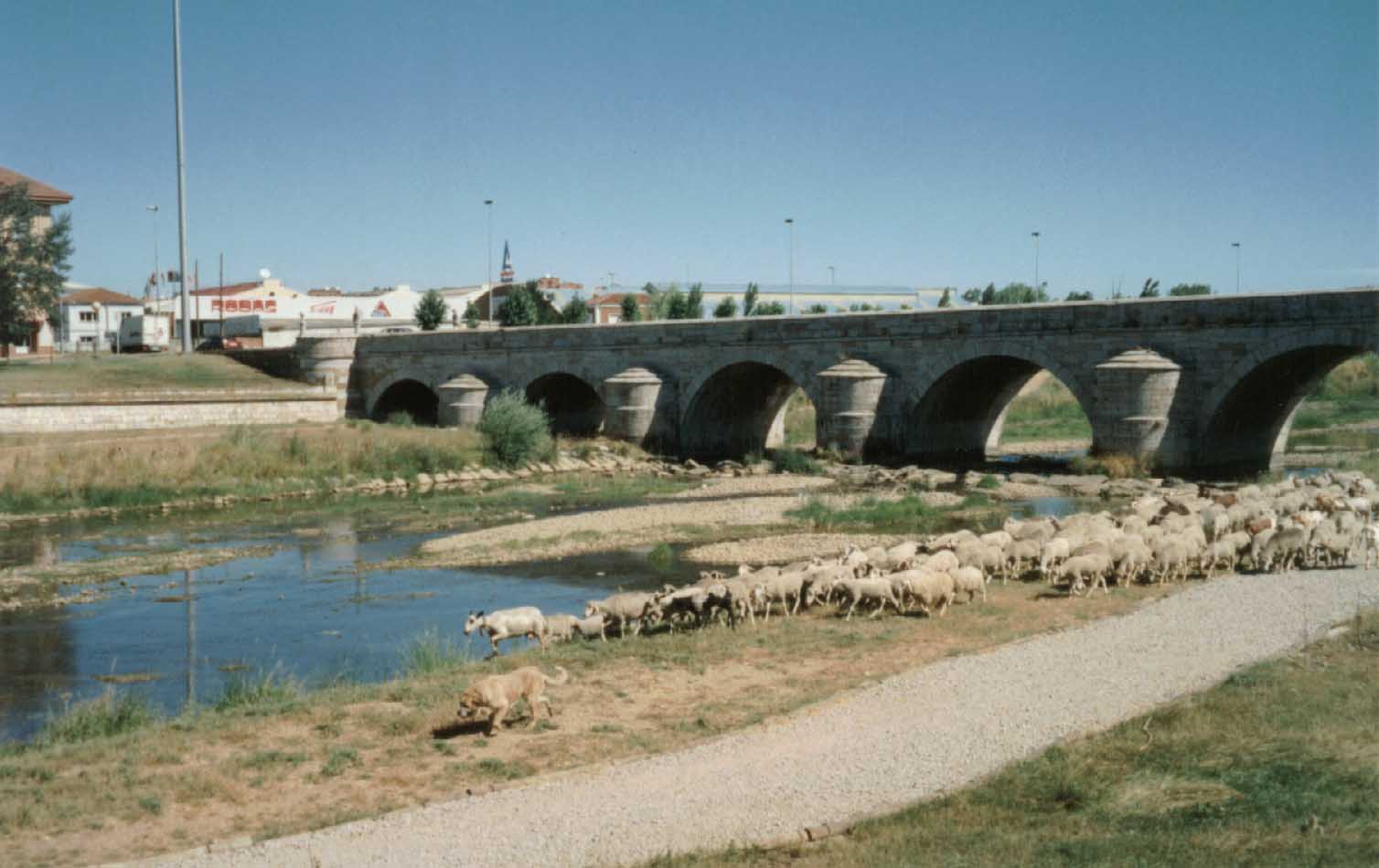 S140-Leon-ponte.jpg (96441 bytes)