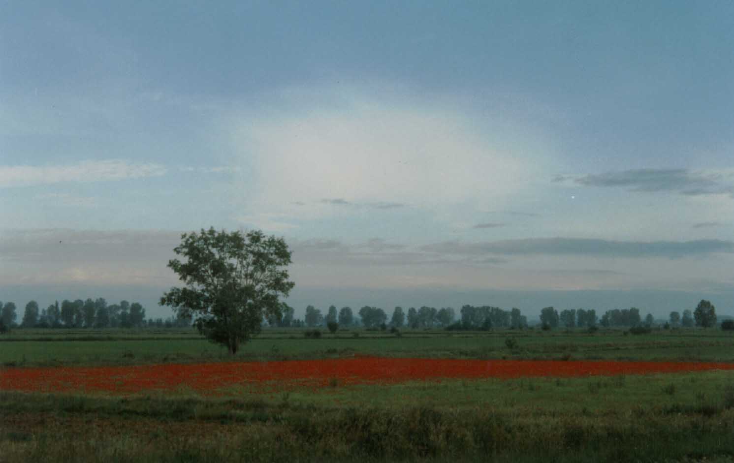 S170-Papoulas-aposVilMaz.jpg (53545 bytes)