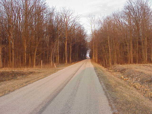 Holcomb Woods