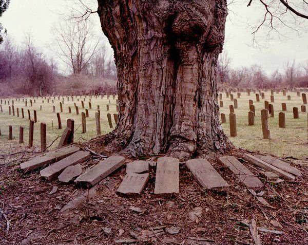 Cemetery