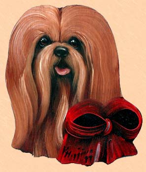 Lhasa Apso Puppy