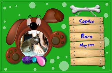 Our baby, Sophie.....
