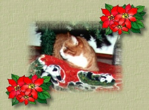 Morris charms everyone..........