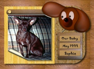 Sweet baby!!