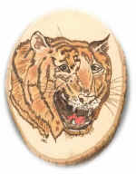 PYROtiger.jpg (85335 bytes)