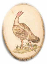 PYROturkey.jpg (19554 bytes)
