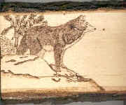Wolf.jpg (23789 bytes)