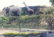 Enter the Zoo